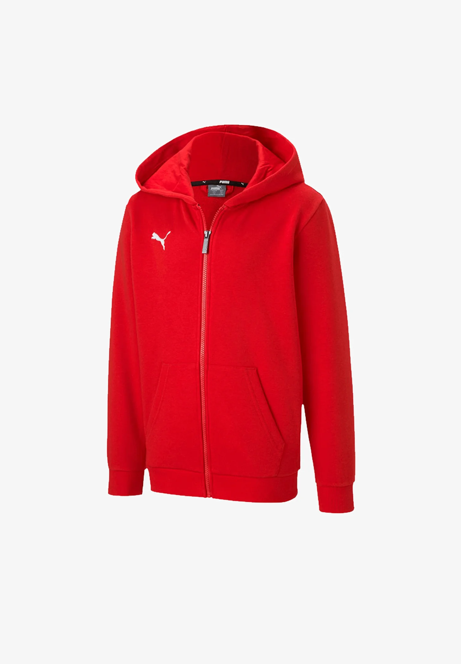 Puma TEAMGOAL - Sudadera con capucha
