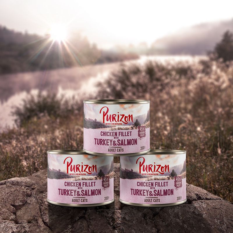 Purizon Adult Nassfutter 6 x 200 g zu TOP-Preisen