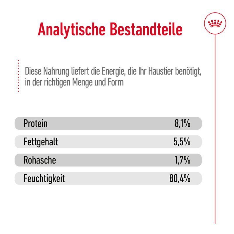 Royal Canin Medium Ageing in Soße