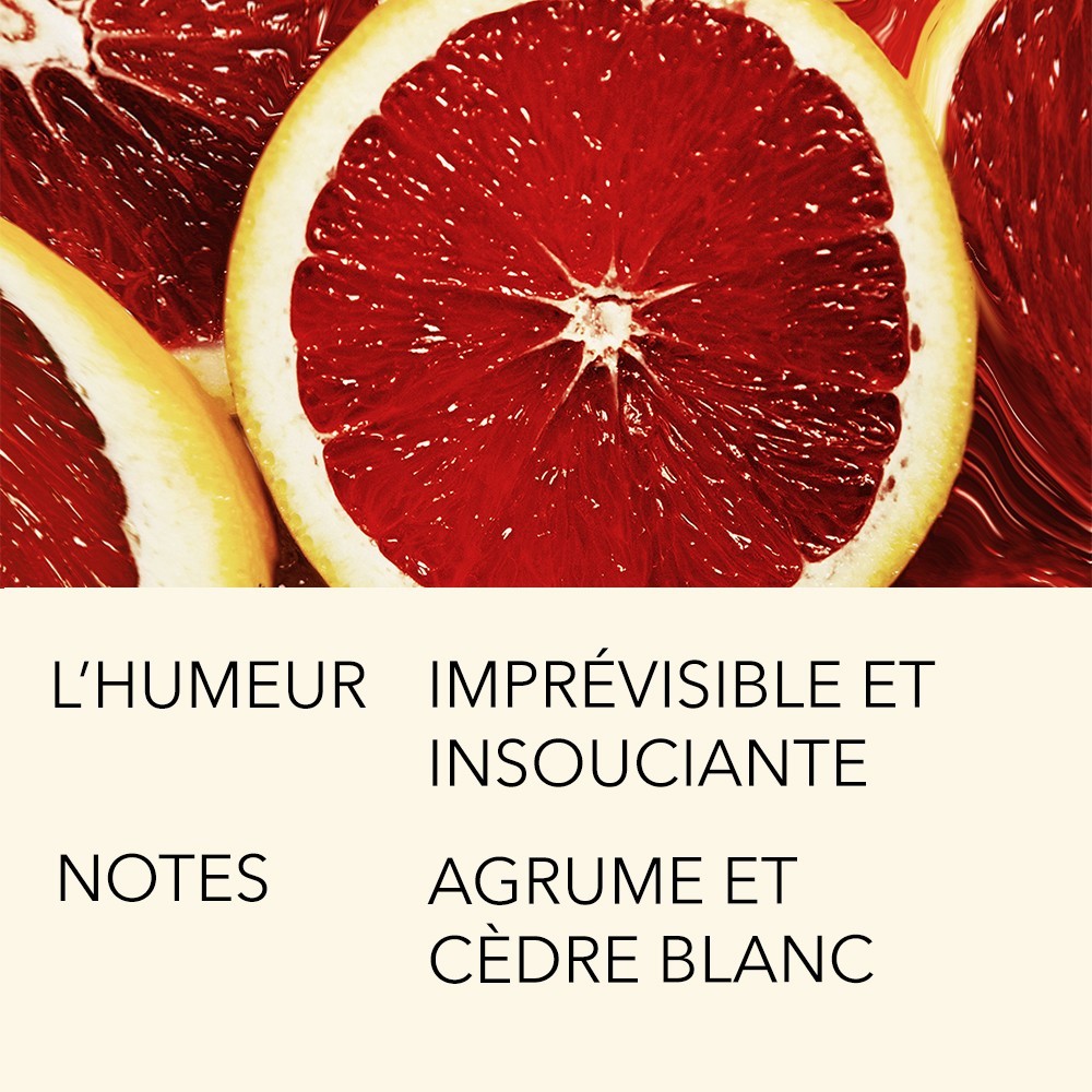 L'Atelier Parfum VERTE EUPHORIE 15ML