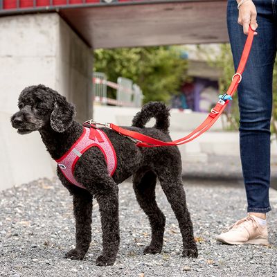 Curli Verstellbare Leine Nylon, rot