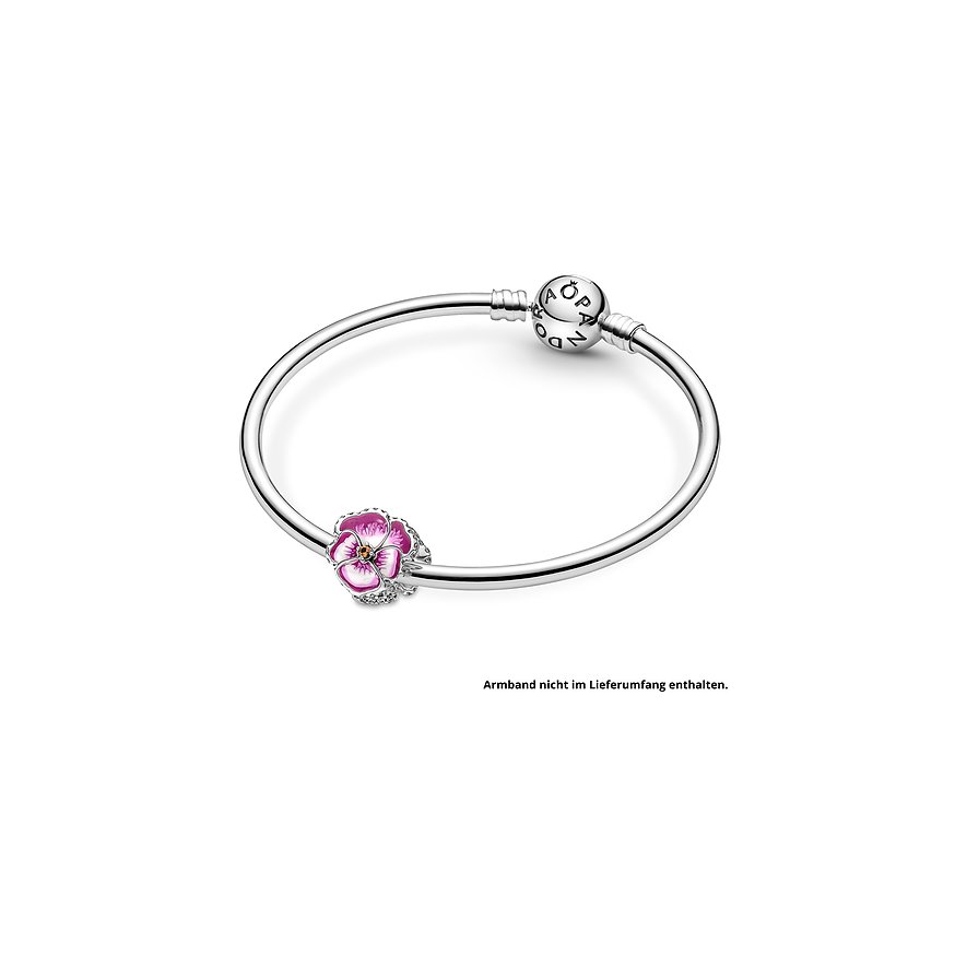 Pandora Charm Moments