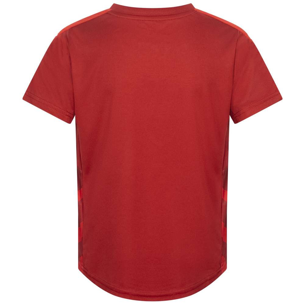 Tschechien PUMA Kinder Heim Trikot 748742-01