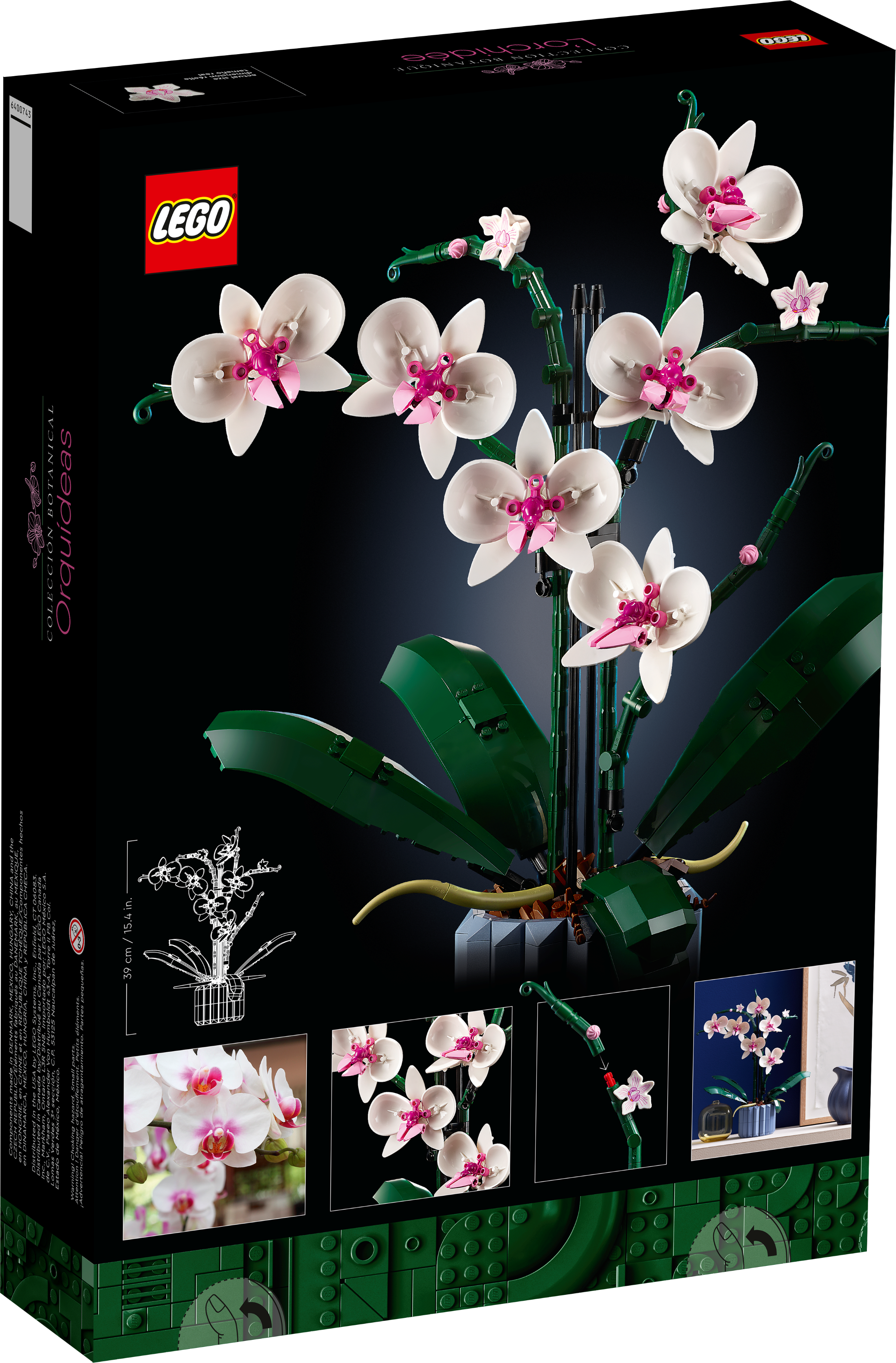 Orchidee 10311