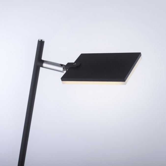 Paul Neuhaus LED Stehleuchte Pure-Mira schwarz