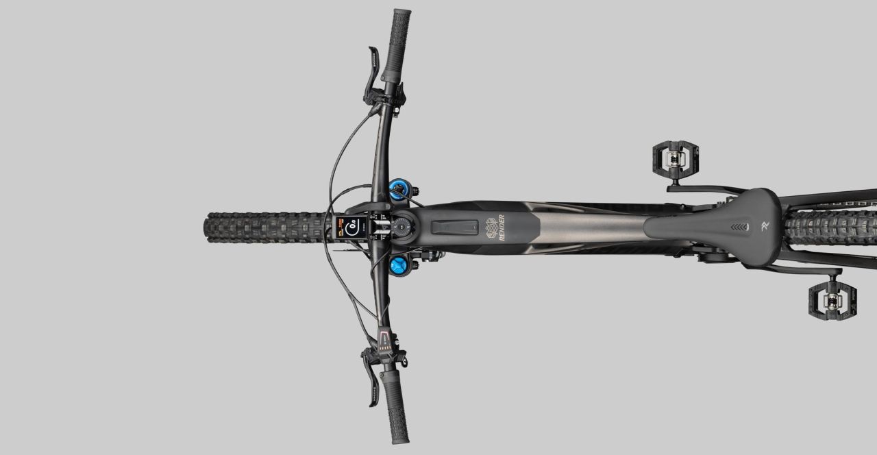 Radon Render 10.0 HD 750 kaufen | Bike-Discount