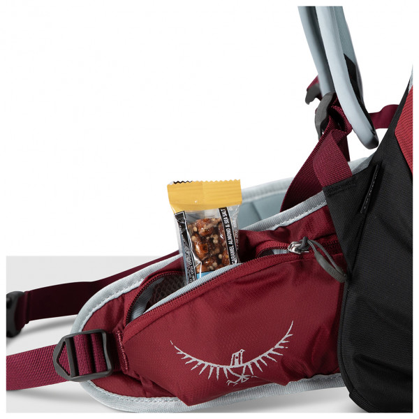 Osprey - Hikelite 28 - Wanderrucksack