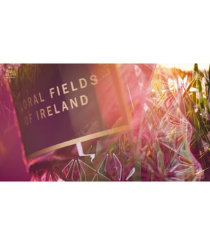 4711 Acqua Colonia Floral Fields of Ireland Eau de Cologne-100 ml
