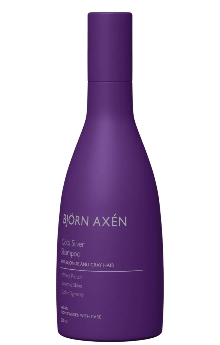 Bjorn Axen Cool Silver šampon za kosu