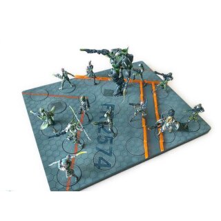 Infinity Display Tray + Bases Science Lab