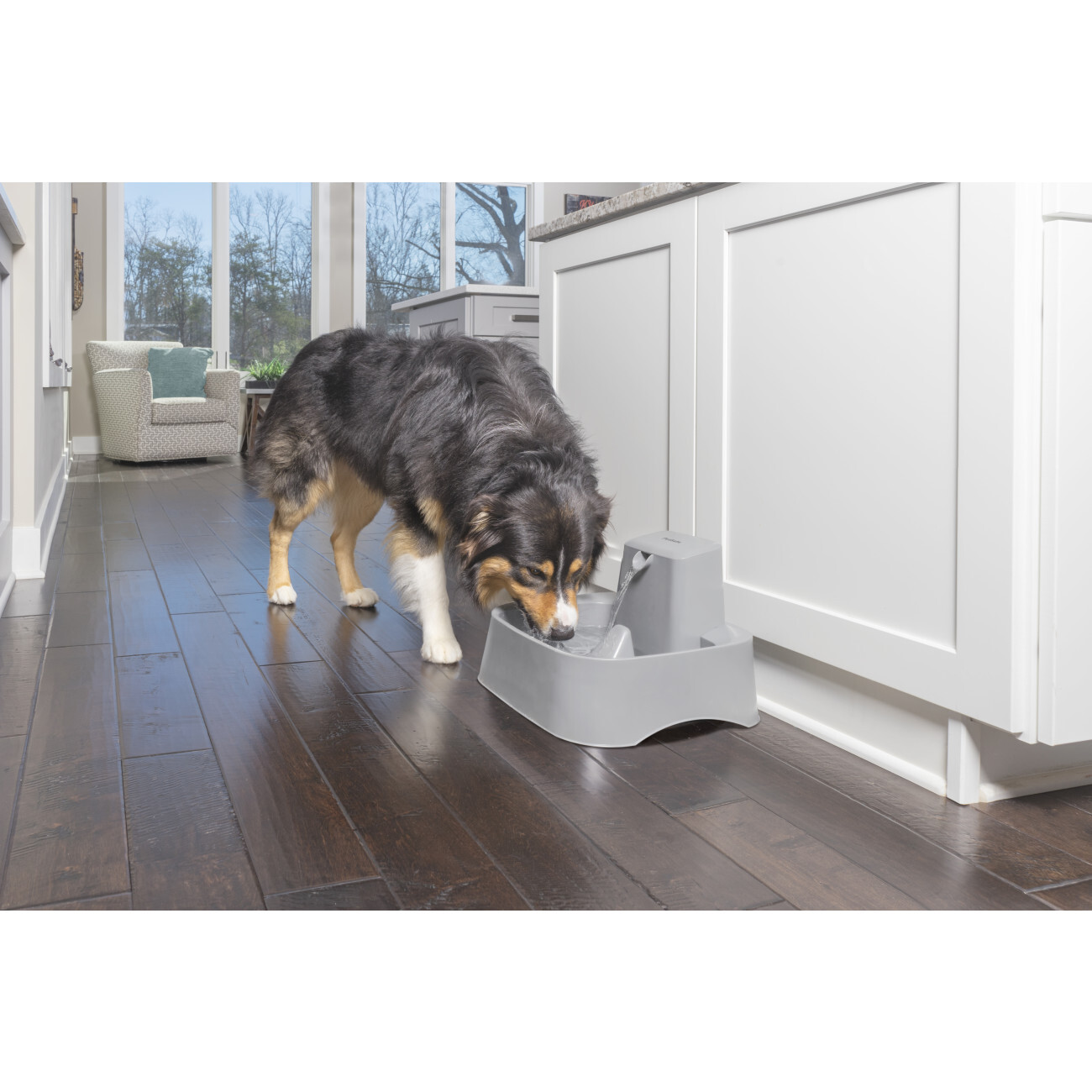 PetSafe Trinkbrunnen PetSafe Trinkbrunnen 7,5 l