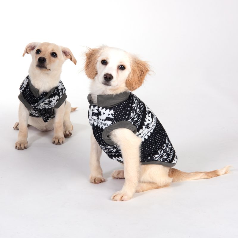Hundepullover mit Norwegermuster zu TOP-Preisen