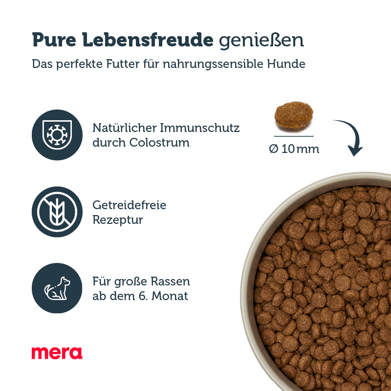 MERA Hundetrockenfutter MERA pure sensitive Junior Truthahn & Reis 12,5 kg