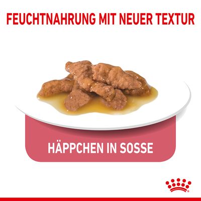 Royal Canin Indoor Sterilised in Soße