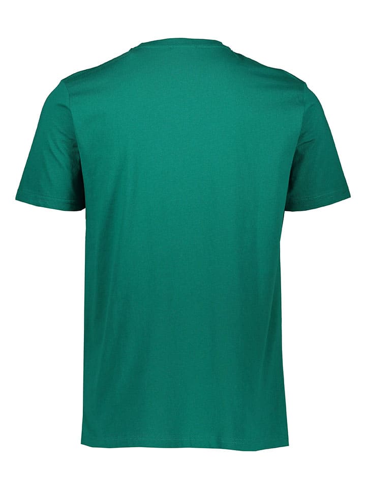 cavalli CLASS Shirt in Grün günstig kaufen
