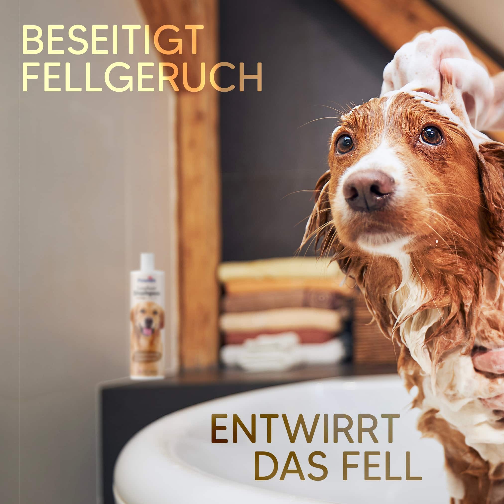 Pawlie's Fellpflege Pawlie's Hundeshampoo für Langhaar
