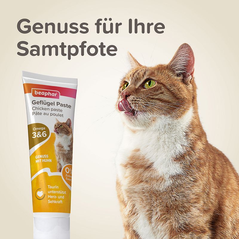 Beaphar Geflügel Paste für Katzen zu TOP-Preisen