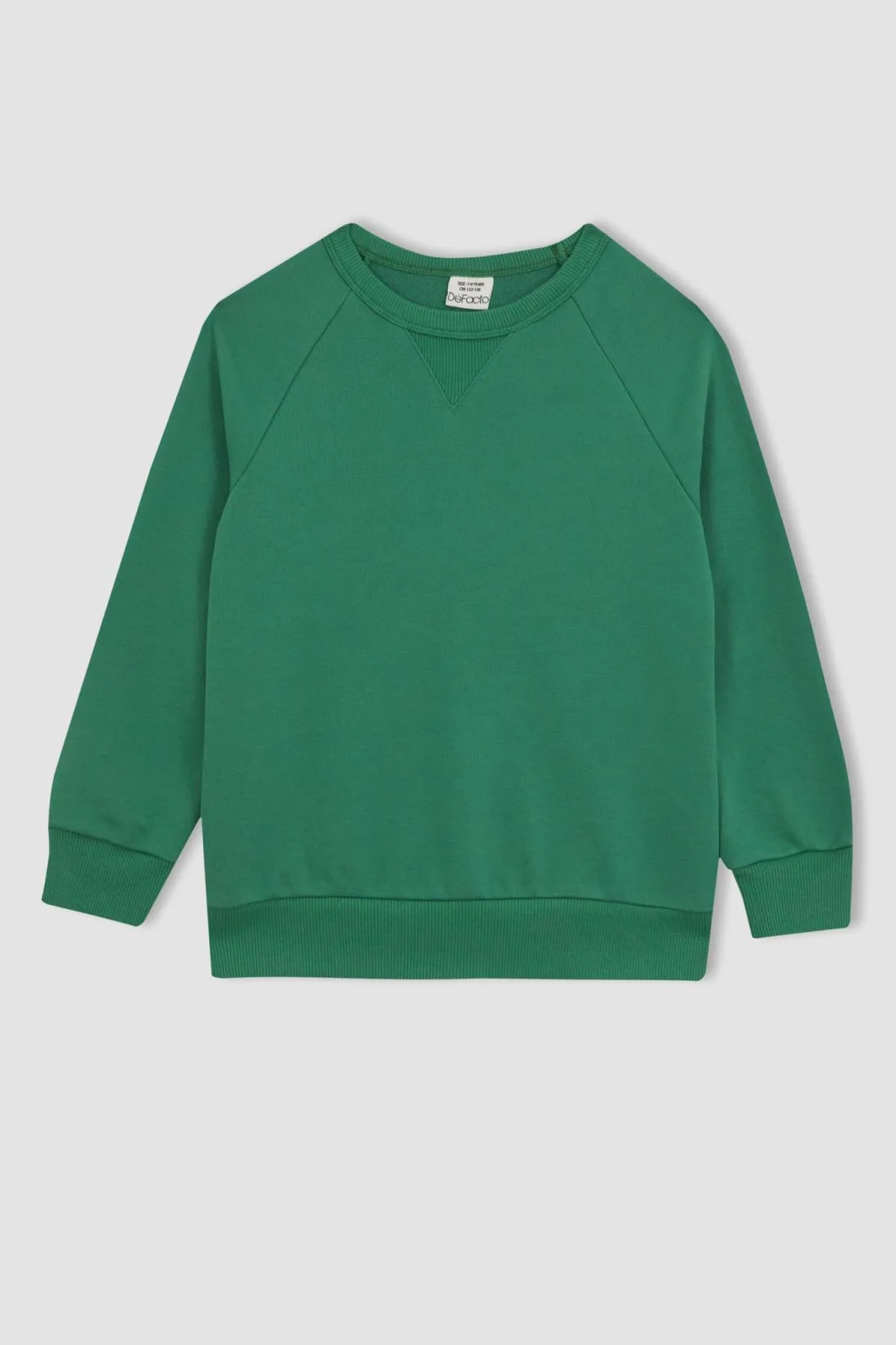 DeFacto  Dickes Sweatshirt mit normaler Passform und Rundhalsausschnitt für Jungen