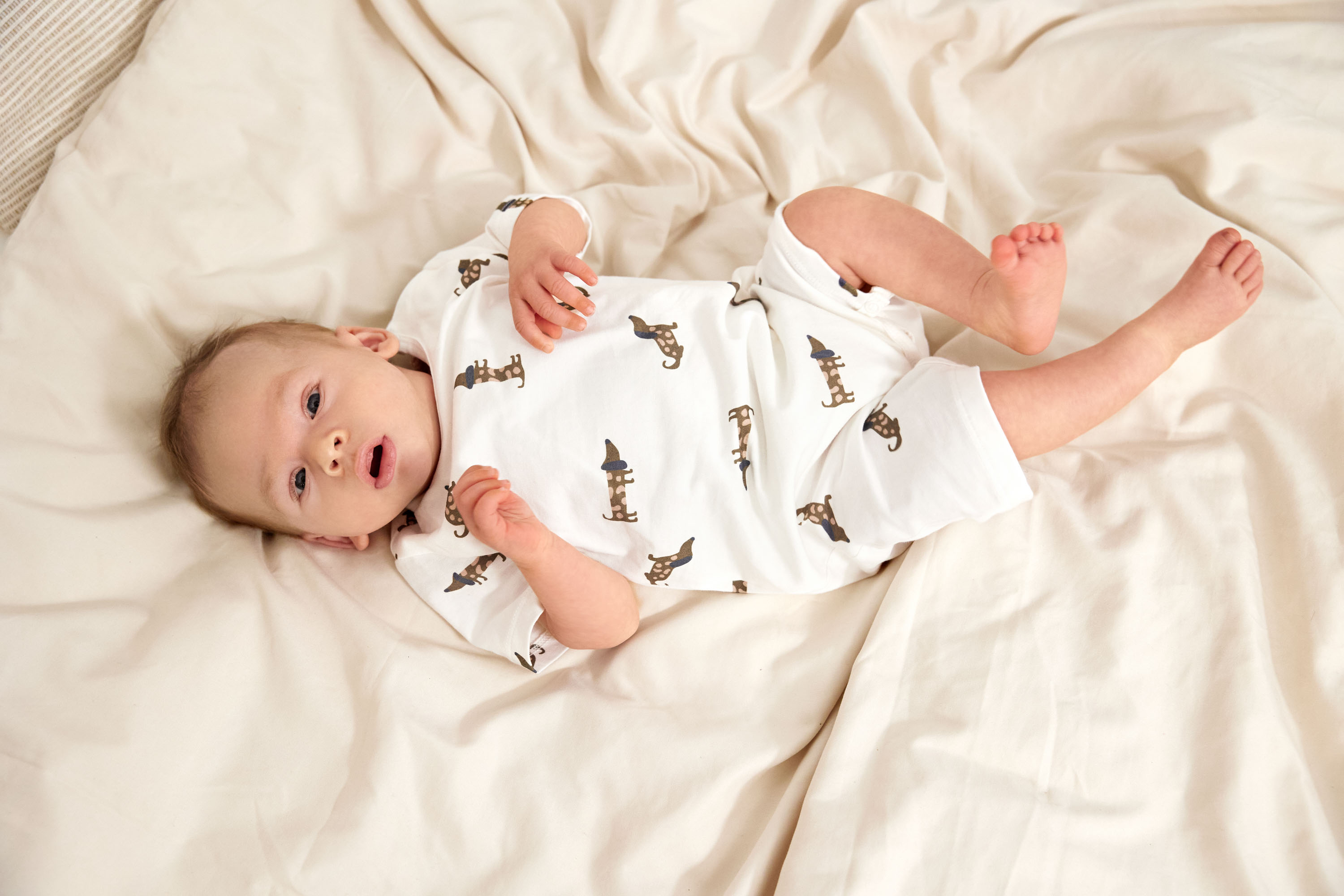 Baby Schlafoverall - Bio Baumwolle, Hund, Milky
