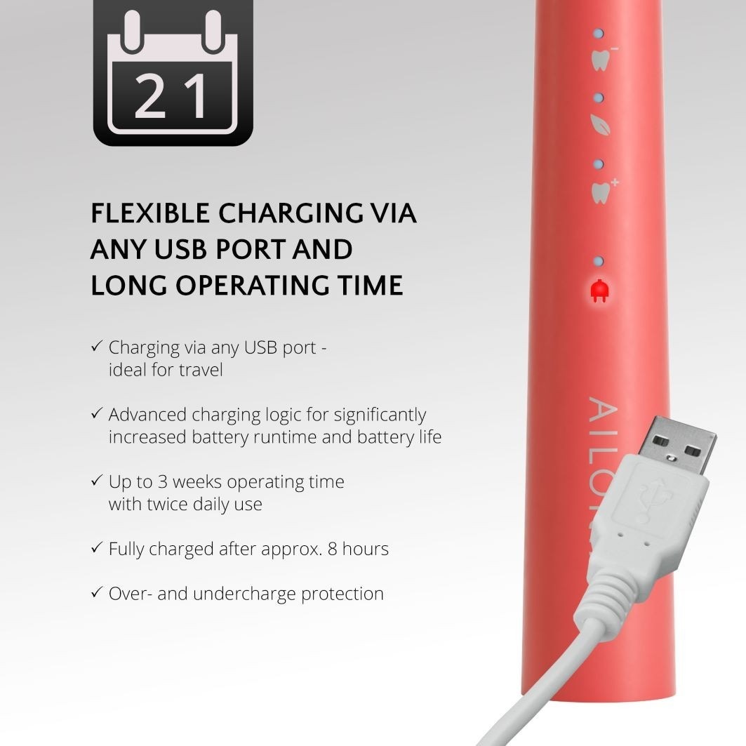 PRO SMILE USB-Schallzahnbürste