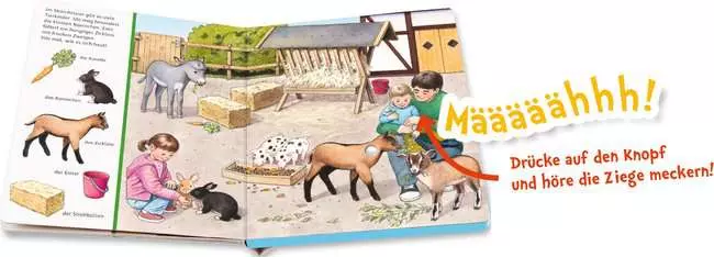 Sachen suchen, Sachen hören: Bei den Tierkindern