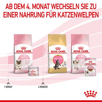 Royal Canin Mother & Babycat Ultra Soft Mousse