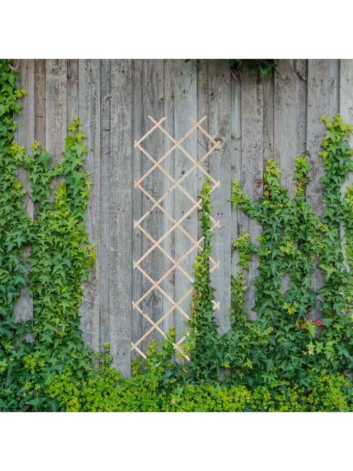 relaxdays 3 x Rankgitter in Natur - (B)60 x (H)180 cm günstig kaufen onesize