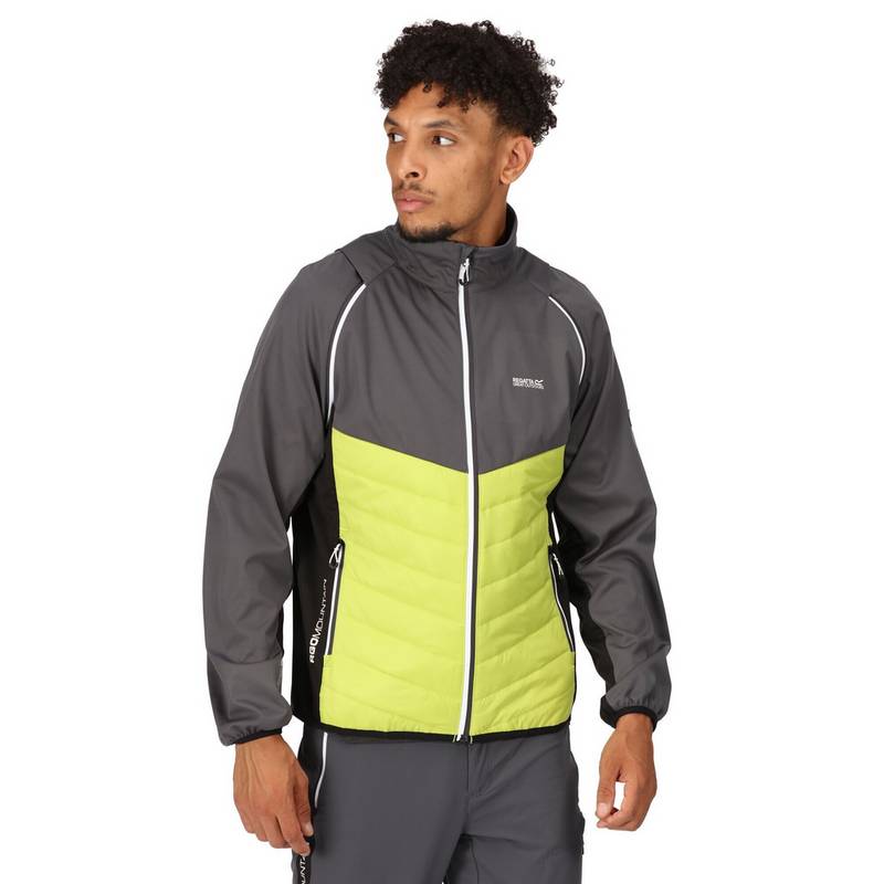 Regatta Steren Funktionsjacke Herren