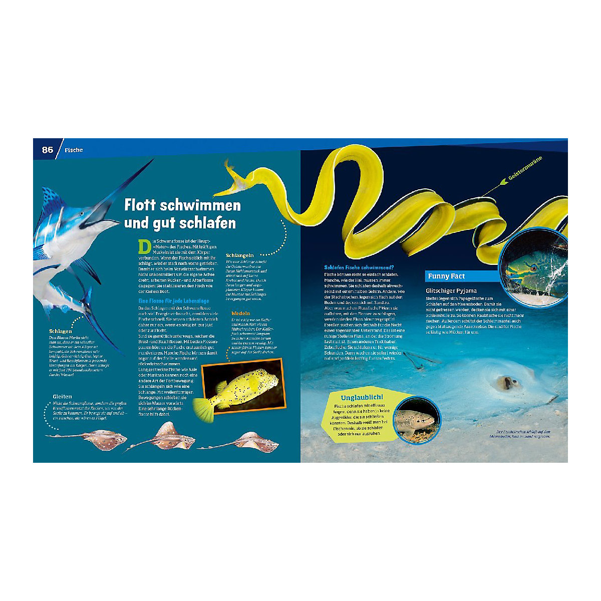 WAS IST WAS Entdecke die Tierwelt