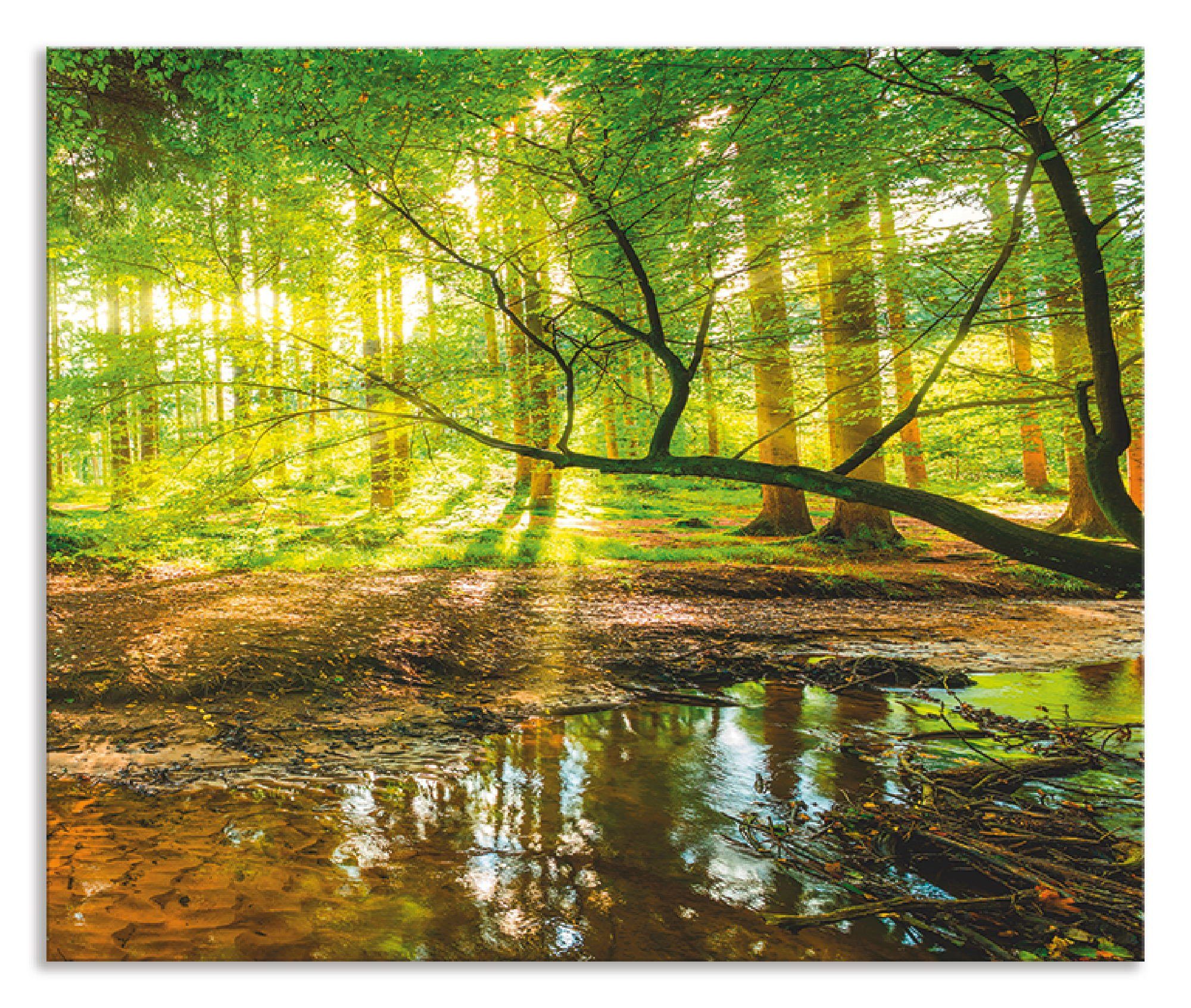 Artland Küchenrückwand Wald mit Bach, (1-tlg), Alu Spritzschutz mit Klebeband, einfache Montage