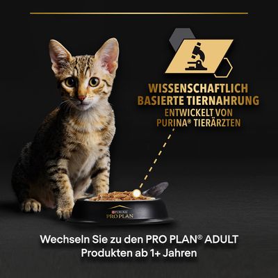 PURINA PRO PLAN Kitten Healthy Start 24 x 85 g