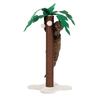 Kratzstamm Coco Palm