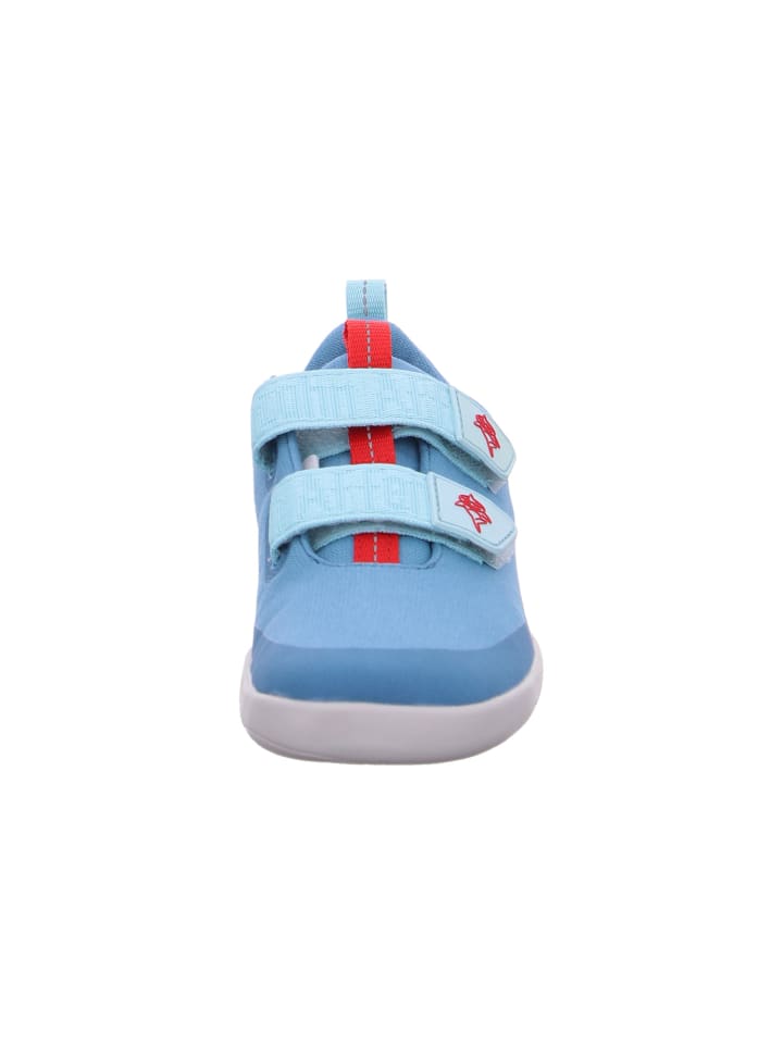 Affenzahn Sneaker Hai in Blau günstig kaufen