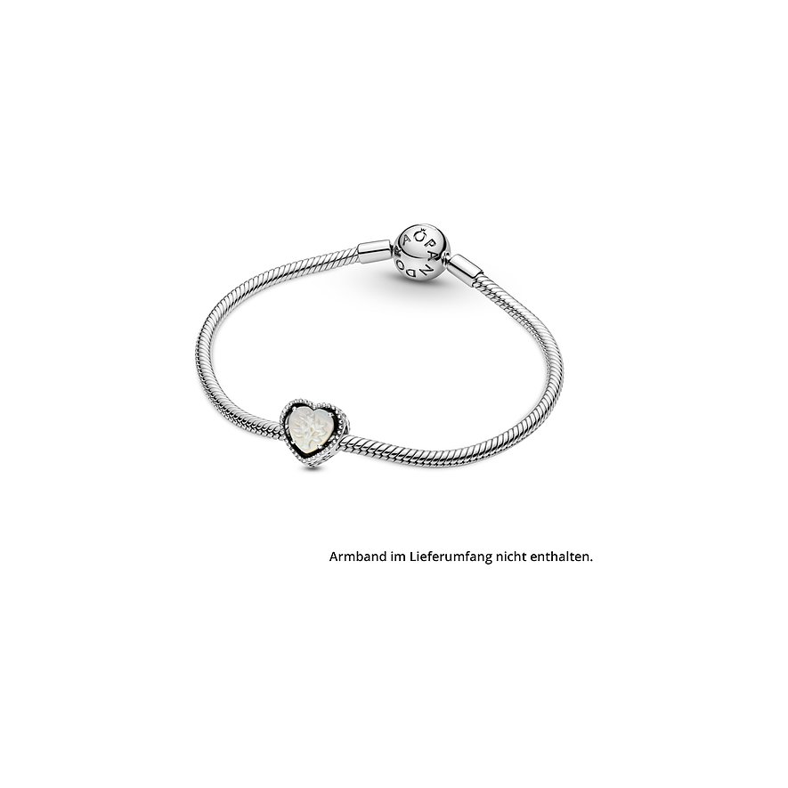 Pandora Charm Moments