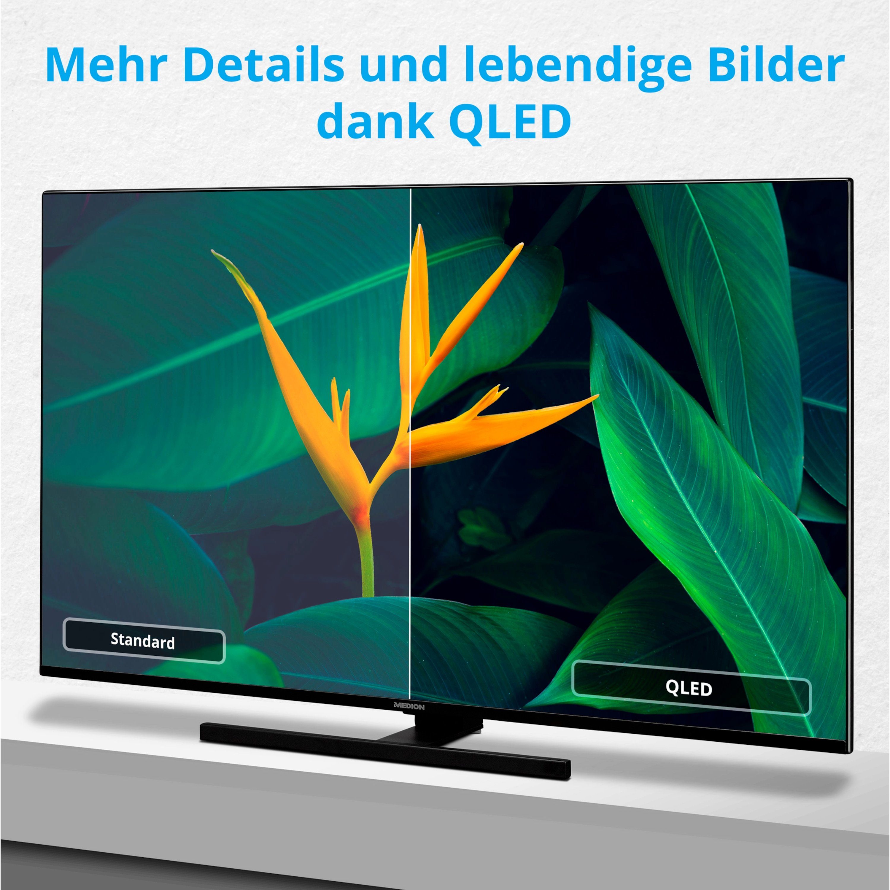 Medion® MD30060 LCD-LED Fernseher (125.7 cm/49.5 Zoll, 4K Ultra HD, Android TV, 60Hz, MD30060)