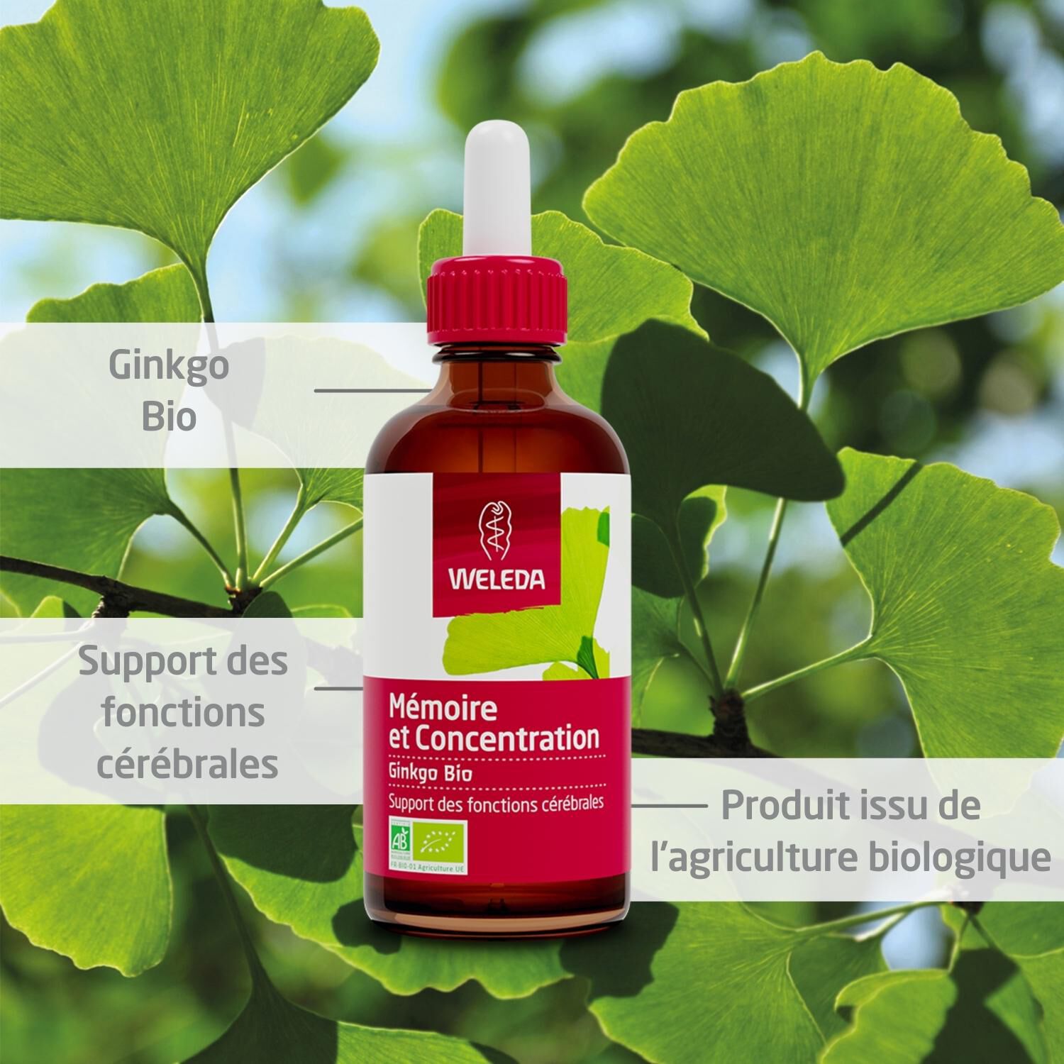 Weleda EPB® Ginkgo Bio Mémoire et Concentration - Complément Alimentaire Naturel - 60 ml
