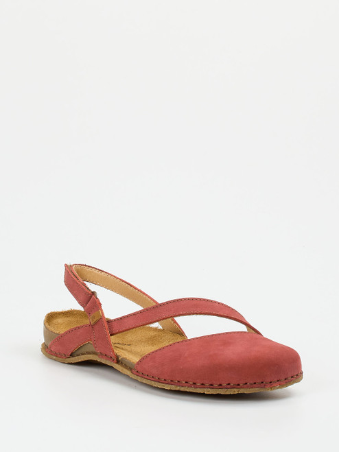 Slipper-13112590001 El Naturalista