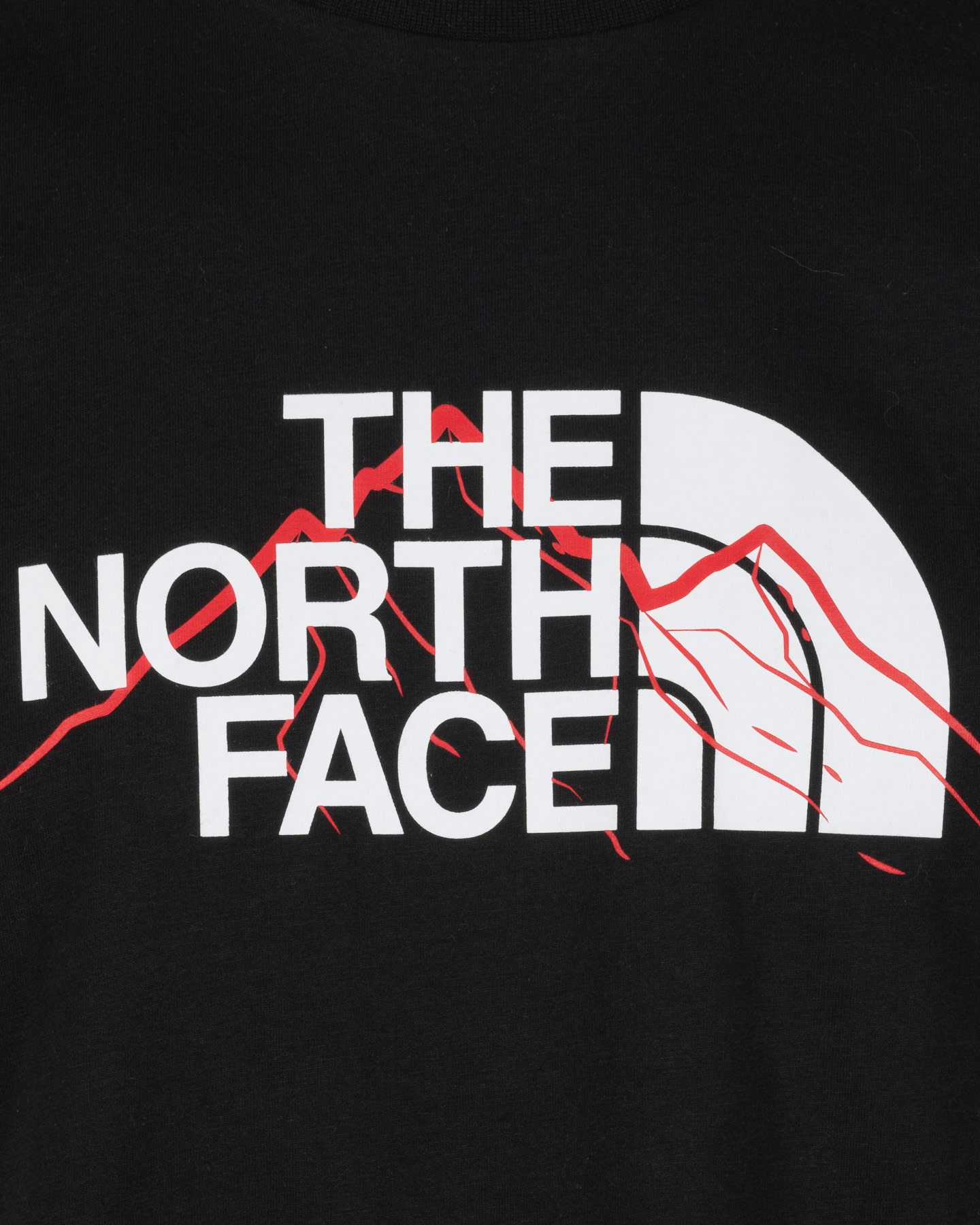 Tričko The North Face Mountain Line M NF0A8FM2JK31