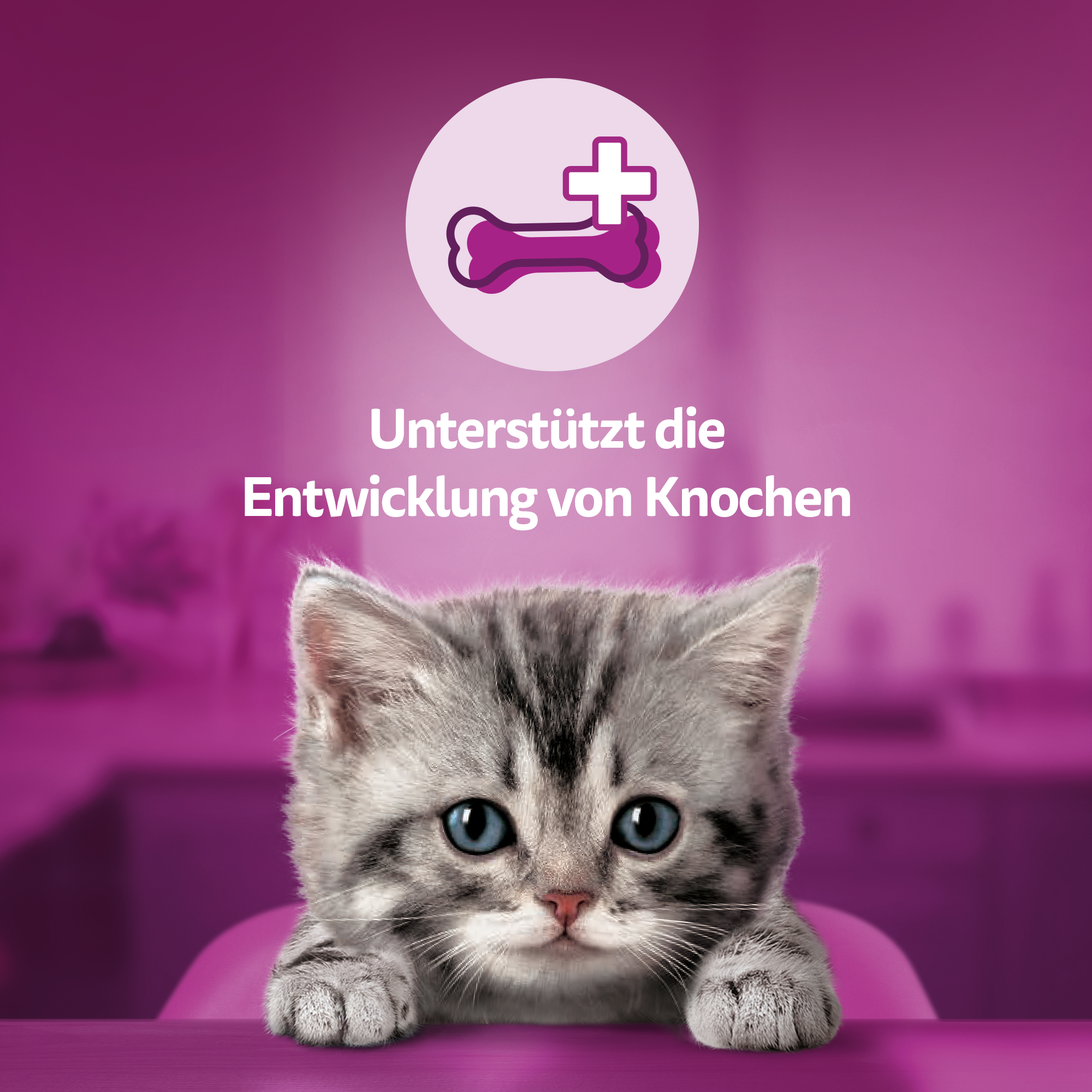 Whiskas Snacks Whiskas Snacks Milch-Kätzchen 8x55g