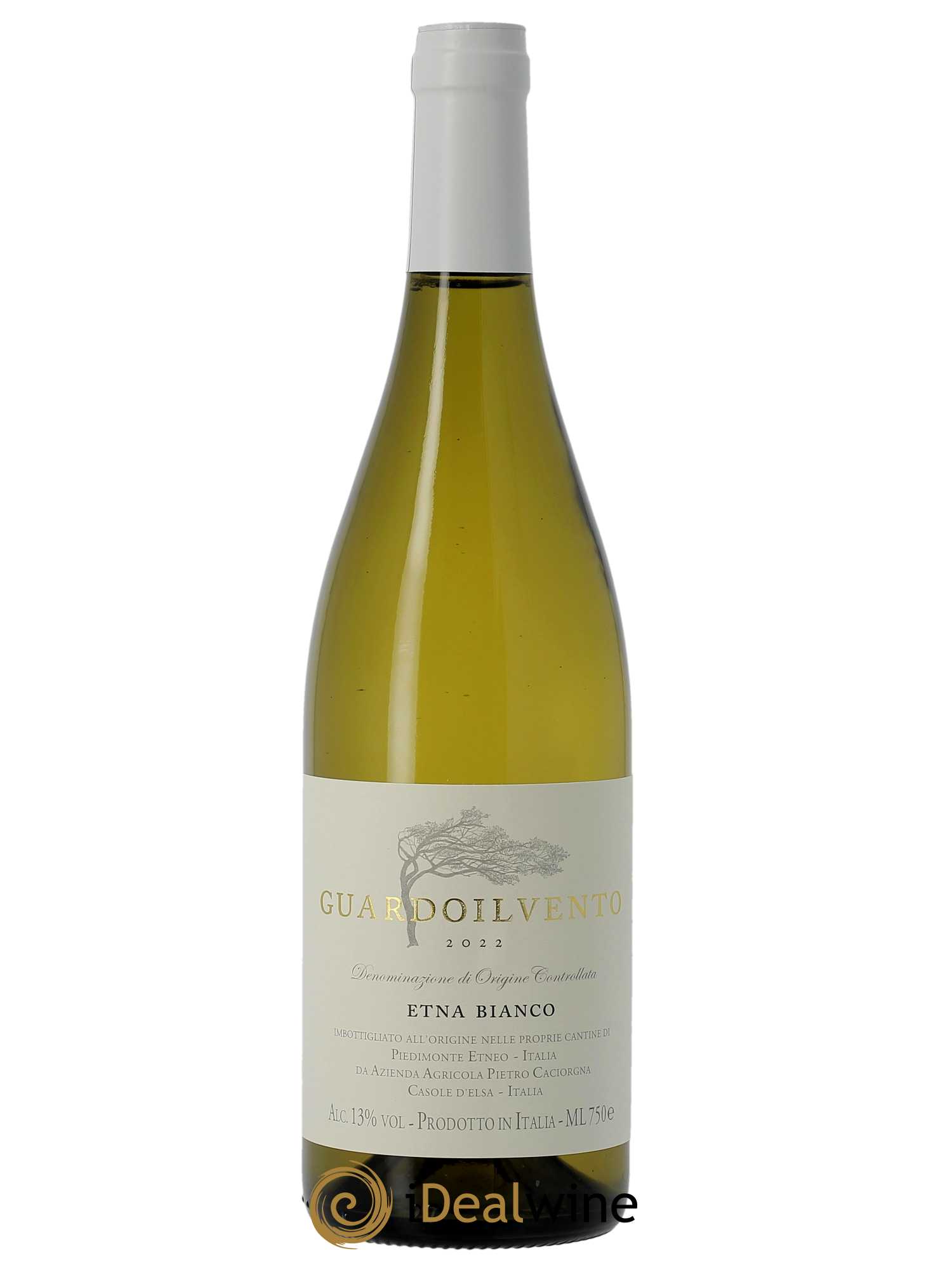Etna Bianco DOC Azienda Agricola Pietro Caciorgna Guardoilvento  2022 - Lot de 1 Bouteille