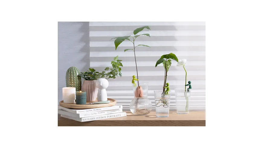 Peleg Anzuchthelfer Leafriend 3er Set