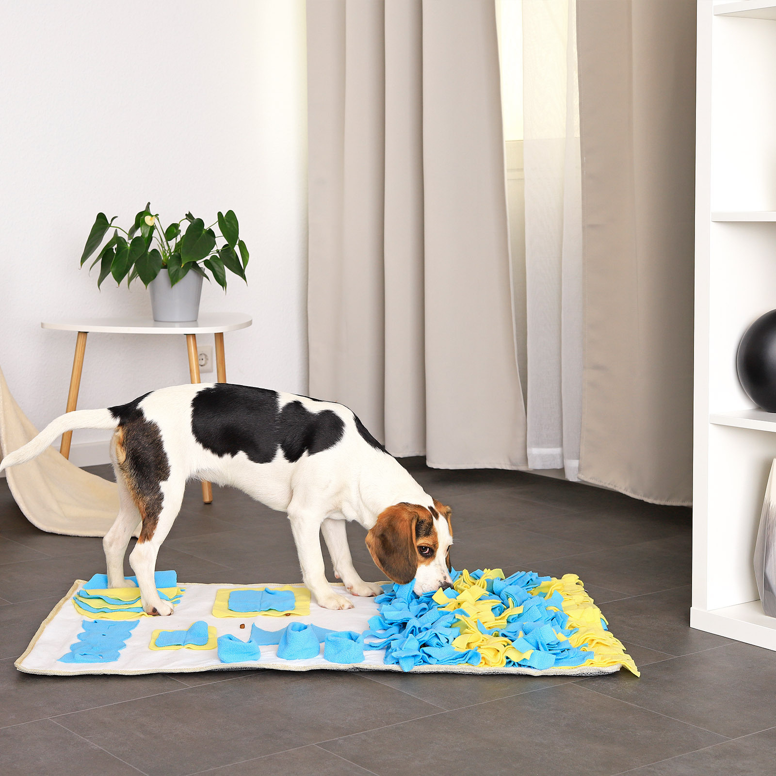 Lionto Intelligenzspielzeug Lionto Schnüffelteppich für Hunde blau