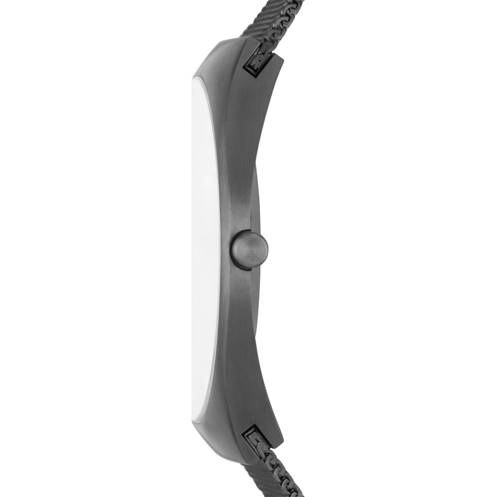 Skagen Montre pour hommes Acier inoxydable Montre