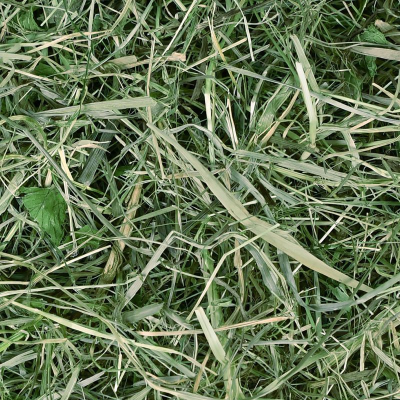 Chipsi Sunshine Bio Plus Bergwiesenheu zu TOP-Preisen | bitiba %