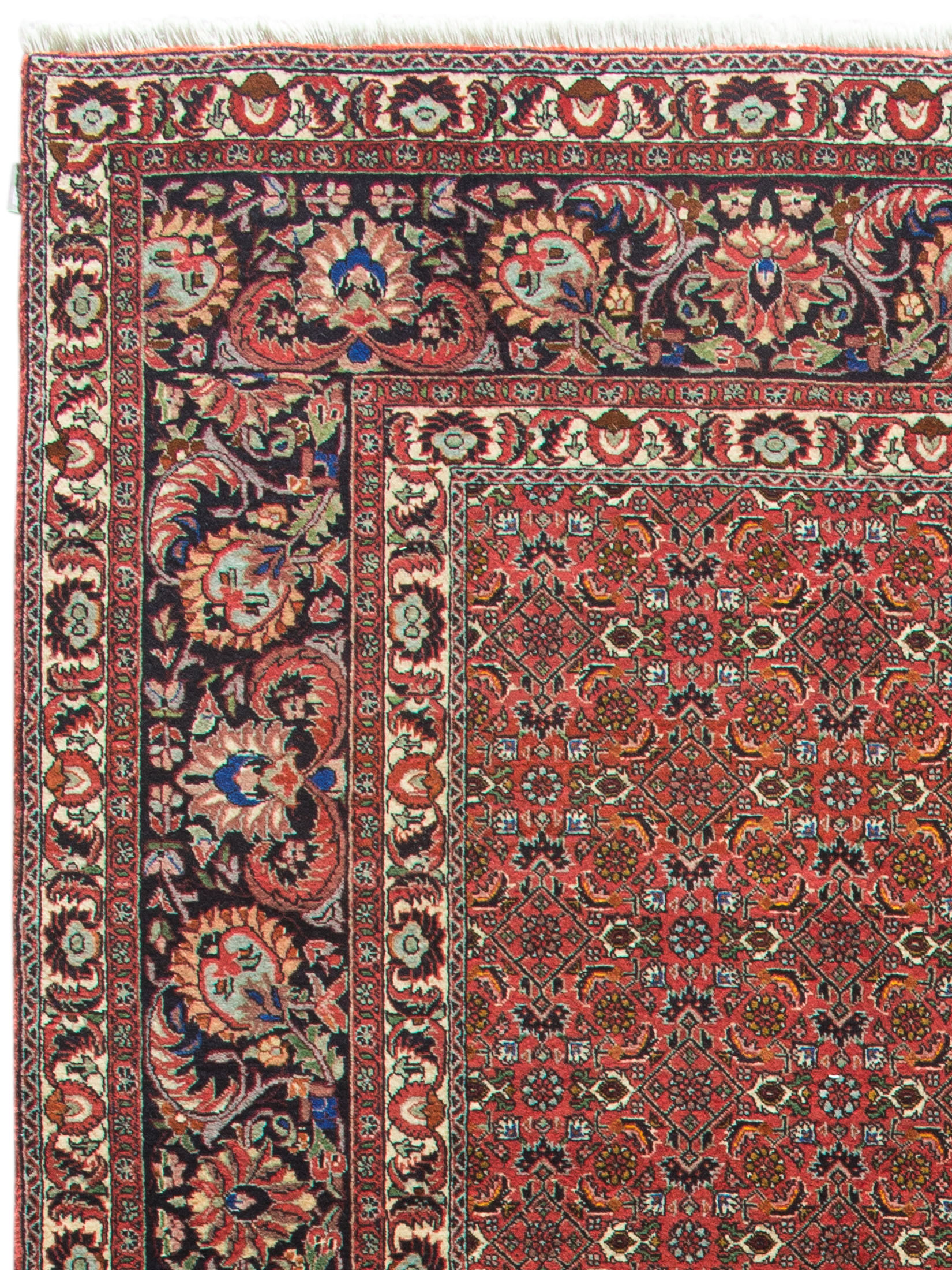 Bidjar Tekab ca. 250 x 348 cm, Unikat / Einzelstück