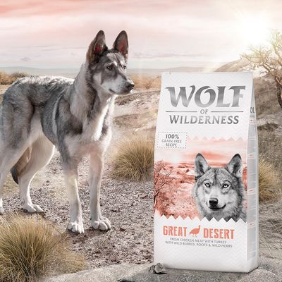 Wolf of Wilderness Adult 