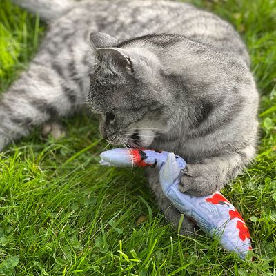 Aumüller Katzenspielkissen Koi