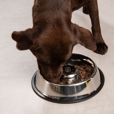 TIAKI Slow-Feeding-Napf Silvered