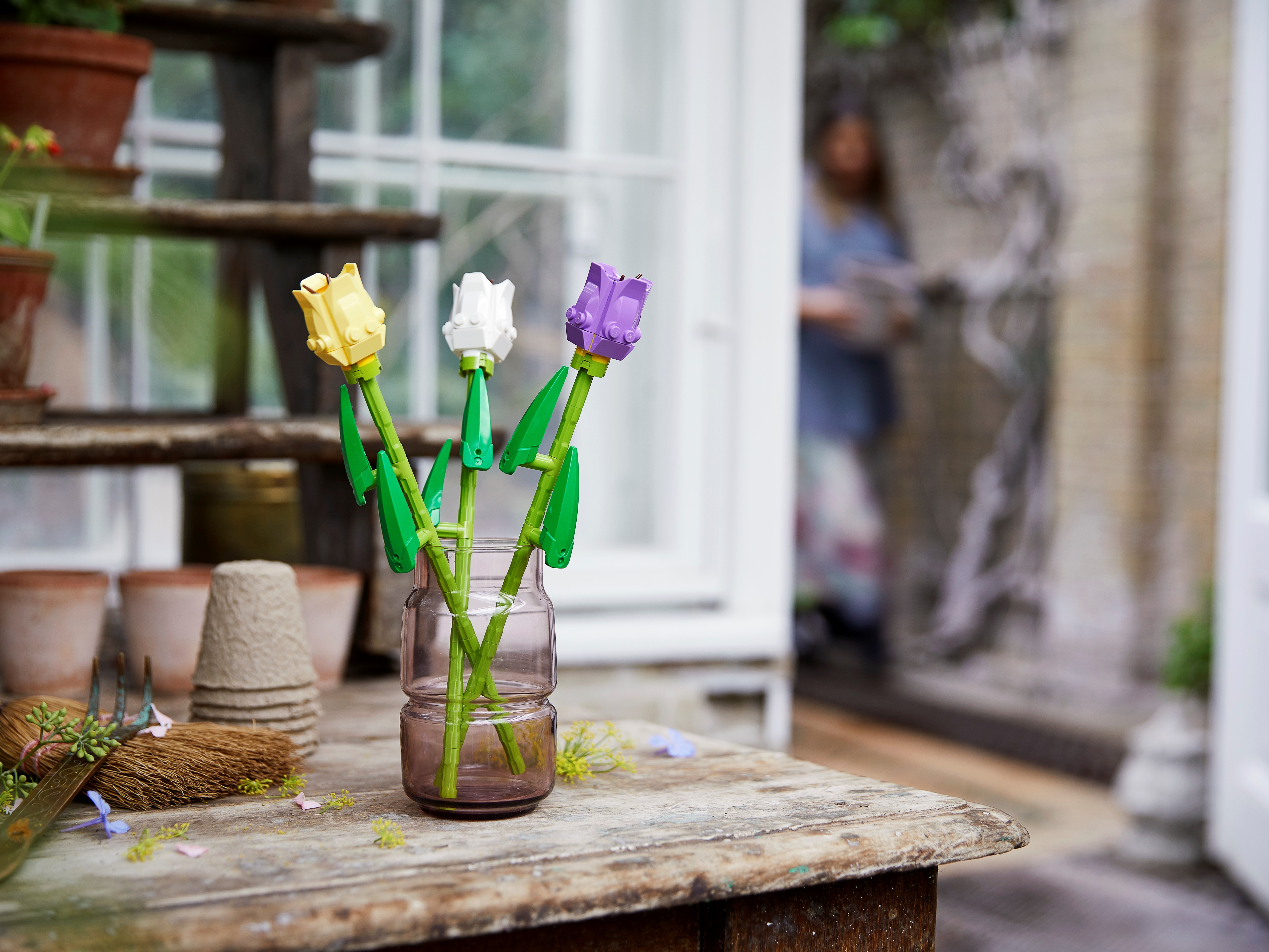 Tulpen 40461