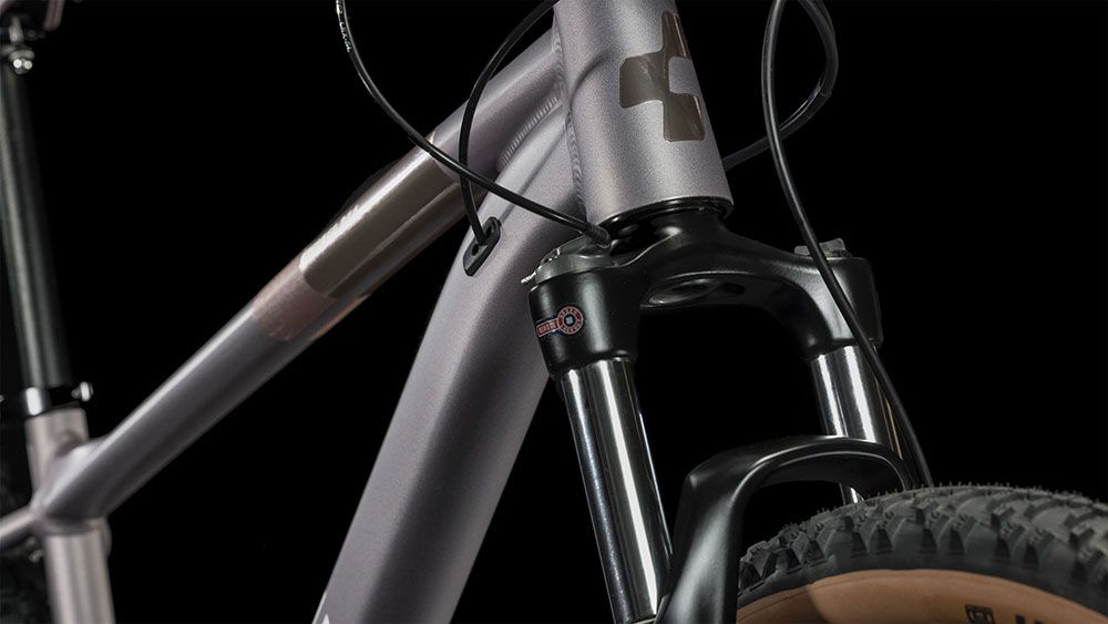 Cube Access WS Pro sienna´n´blush kaufen | Bike-Discount